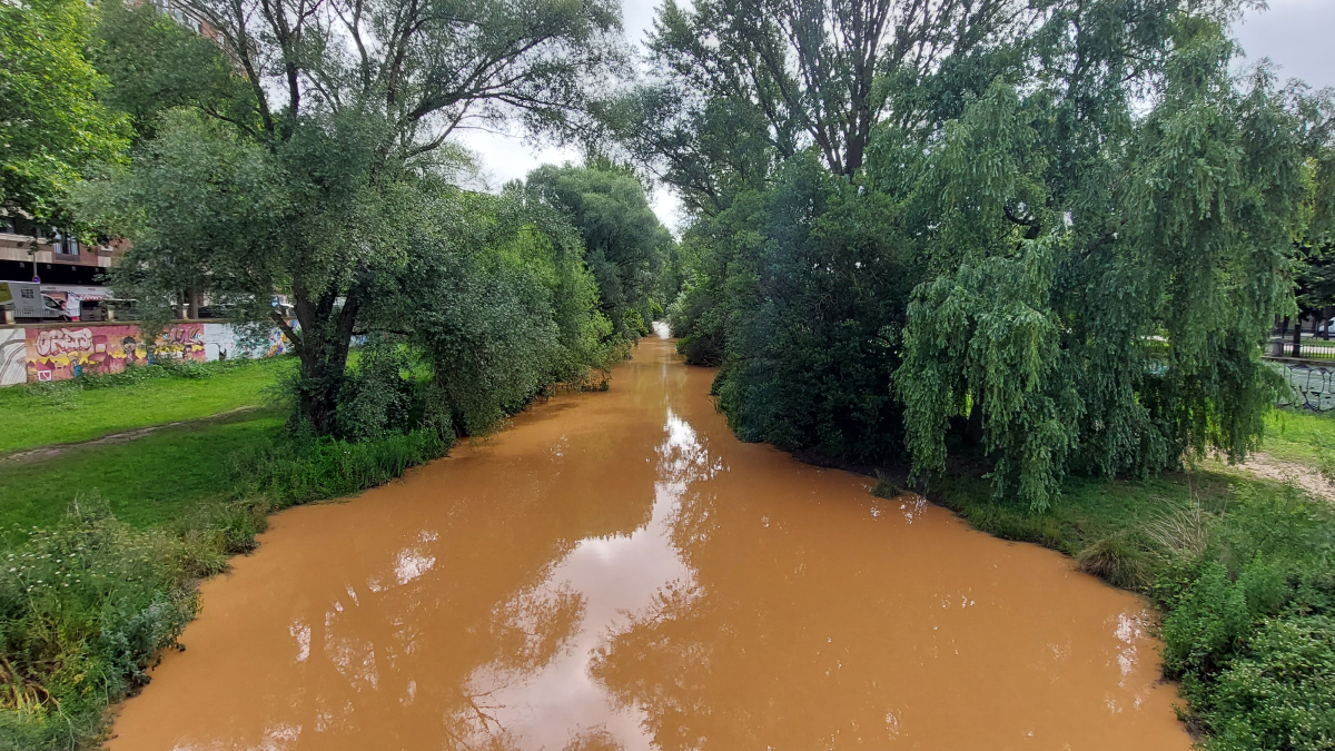 El río Arlanzón, en el corazón de Burgos, se ha convertido en un espectáculo natural cautivador después de las recientes lluvias en la cuenca alta.