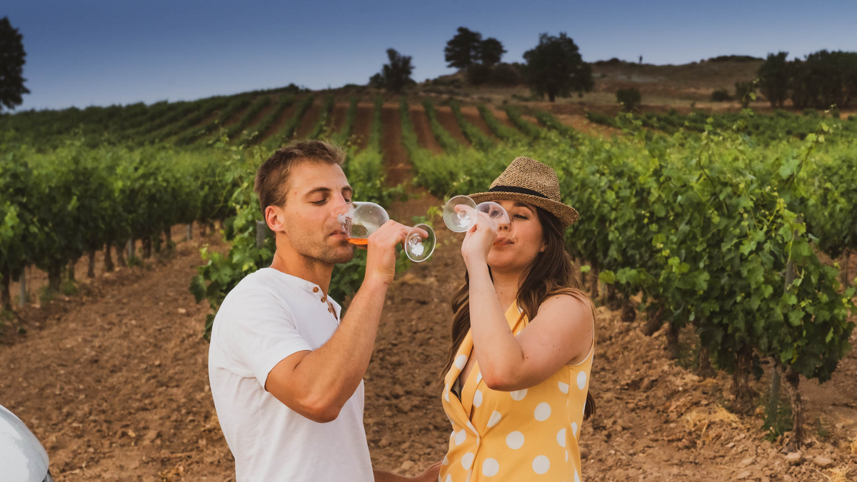 Ribera del Duero reafirma su posición como una de las Rutas del Vino más visitadas de España