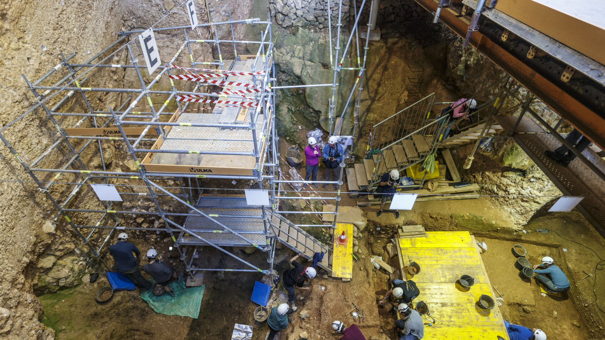 Perspectiva del trabajo en Elefante. La parte rodeada de andamios esconde la pendiente. El resto de la superficie excavan lo más antiguo de Atapuerca.