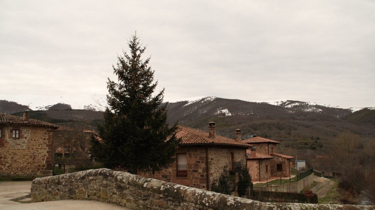 Vista general de algunas casas de Pineda de la Sierra