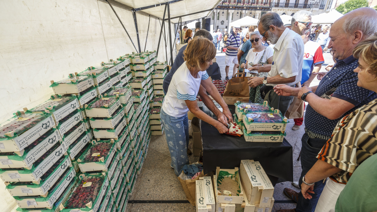 Venta de cerezas en la Plaza Mayor de Burgos.