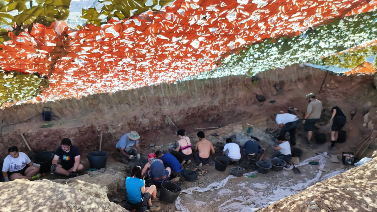 Se están recuperando vértebras completas en muy buen estado de conservación de un dinosaurio terópodo