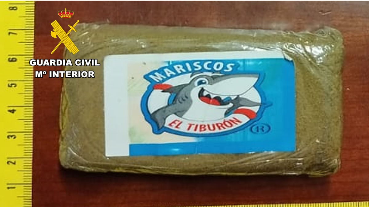 Un registro destapó escondida entre sus ropas una tableta de hachís de 100 gramos de peso.