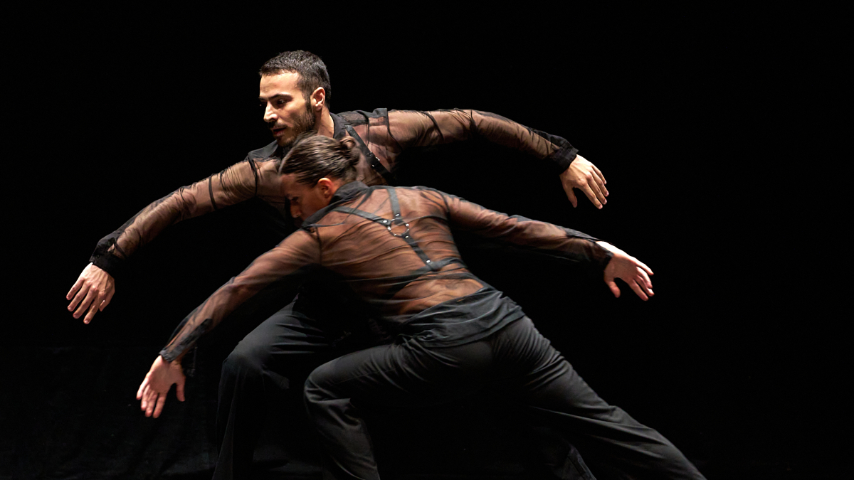 Imagen de la creación 'Meet you in the navel'