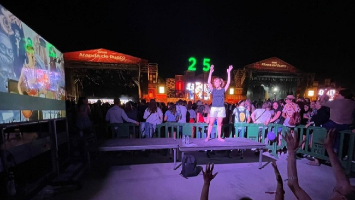 La intérprete de lengua de signos durante uno de los conciertos 'accesibles' del Sonorama 2022.