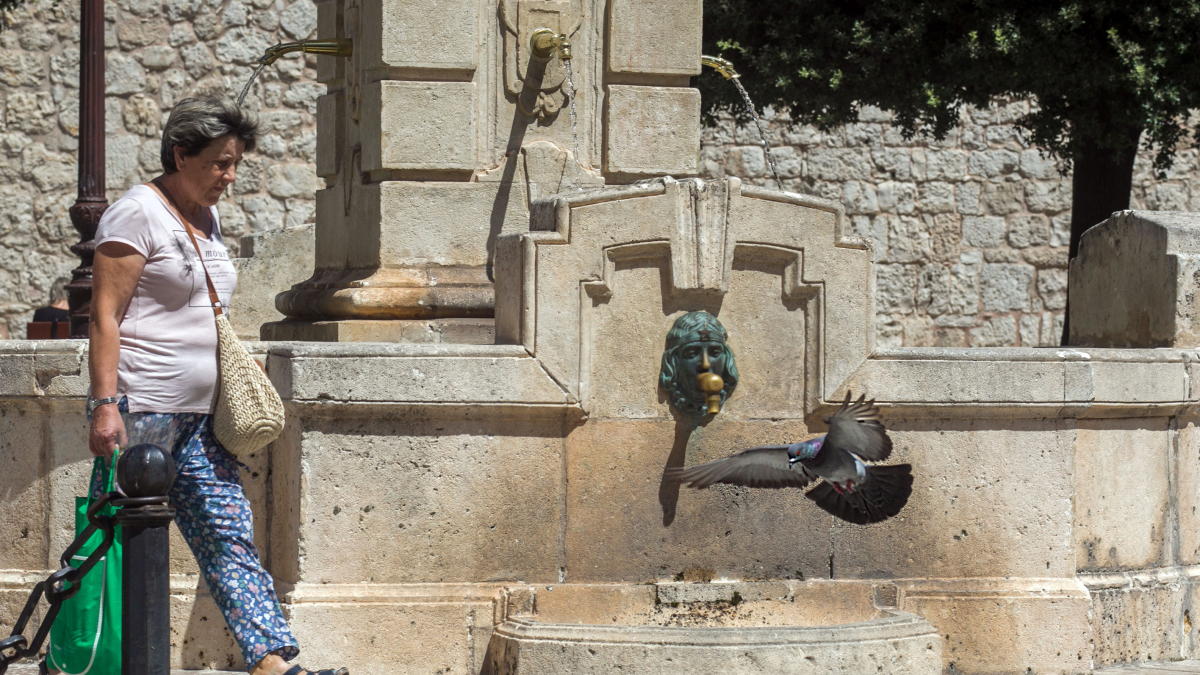 Palomas junto a la fuente de la plaza de la Libertad en la capital burgalesa.