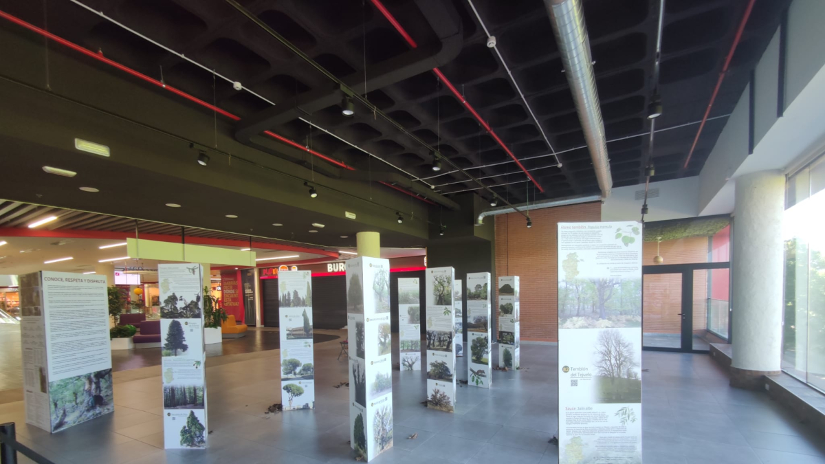 Exposición “111 árboles singulares de la provincia de Burgos” en el
Centro Comercial Camino de la Plata durante el mes de Agosto