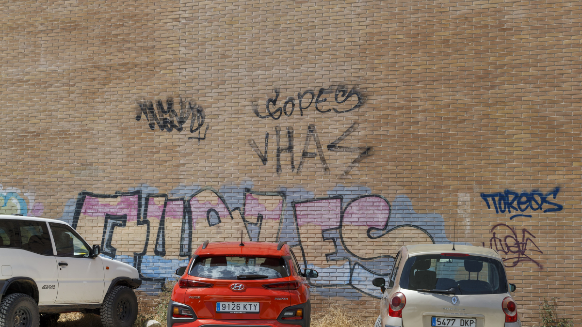 Pintadas sobre la fachada de un edificio particular en la capital burgalesa.