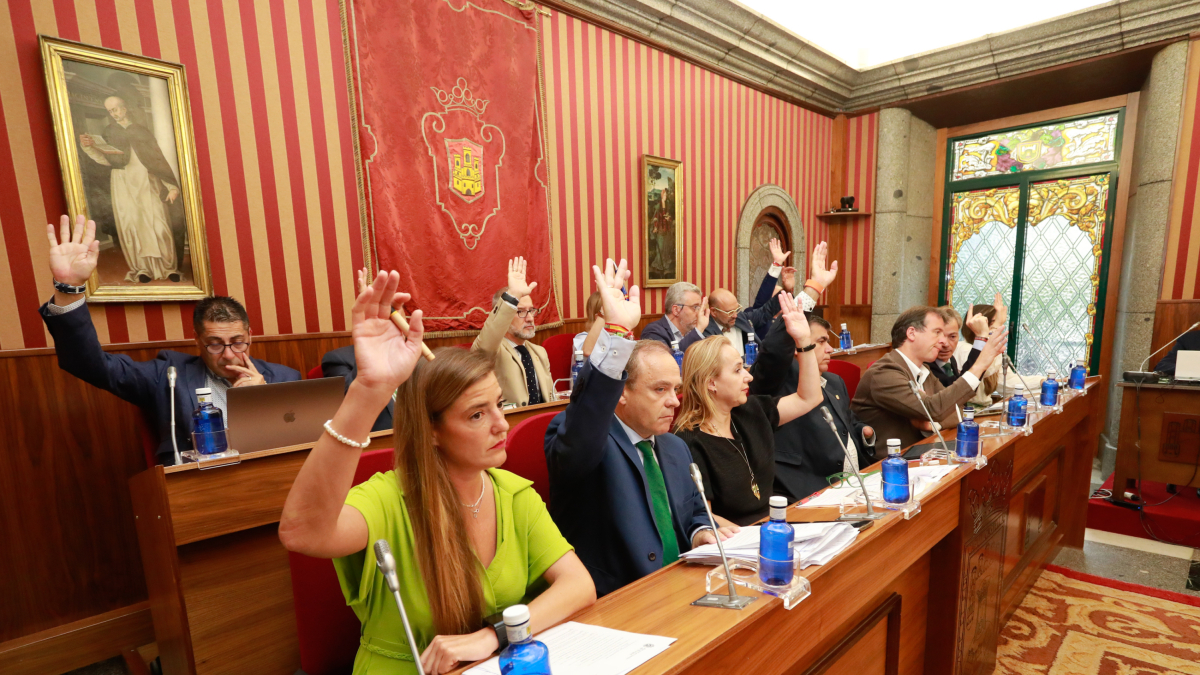 Instante de la votación en el Pleno municipal.