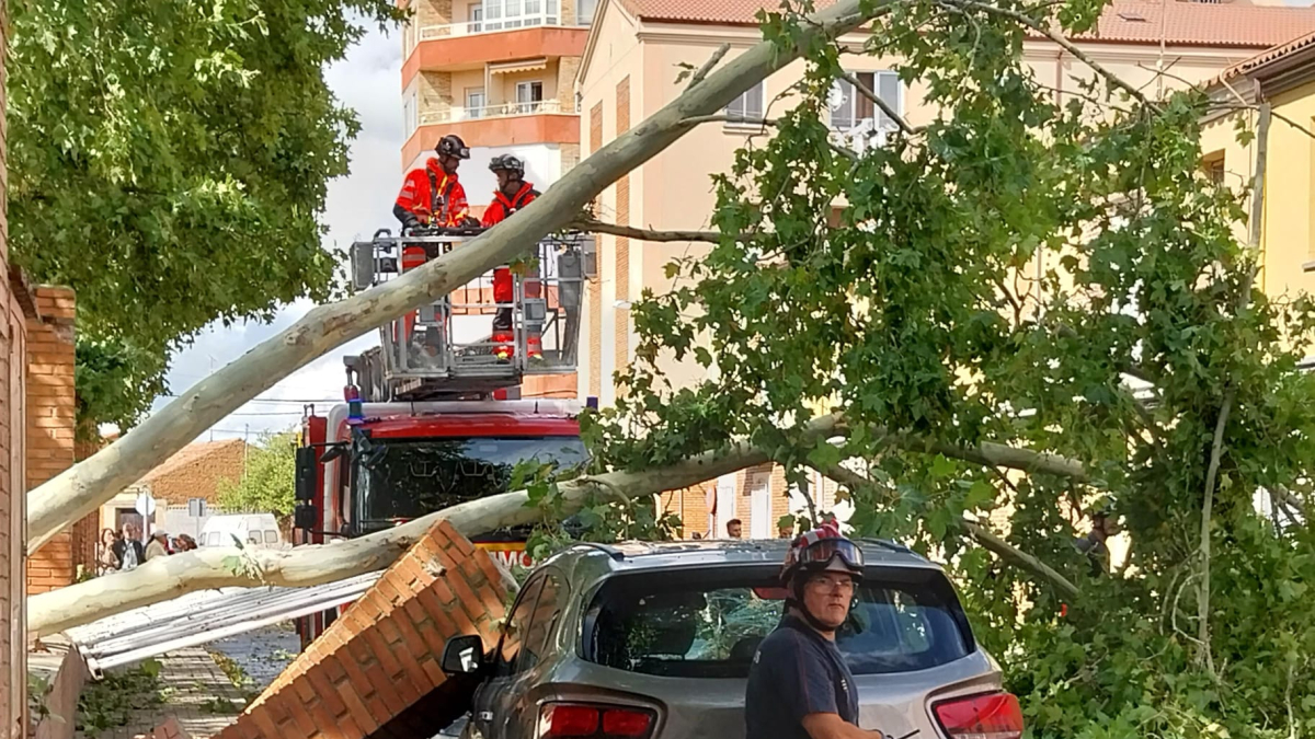 Uno de los coches quedó siniestro