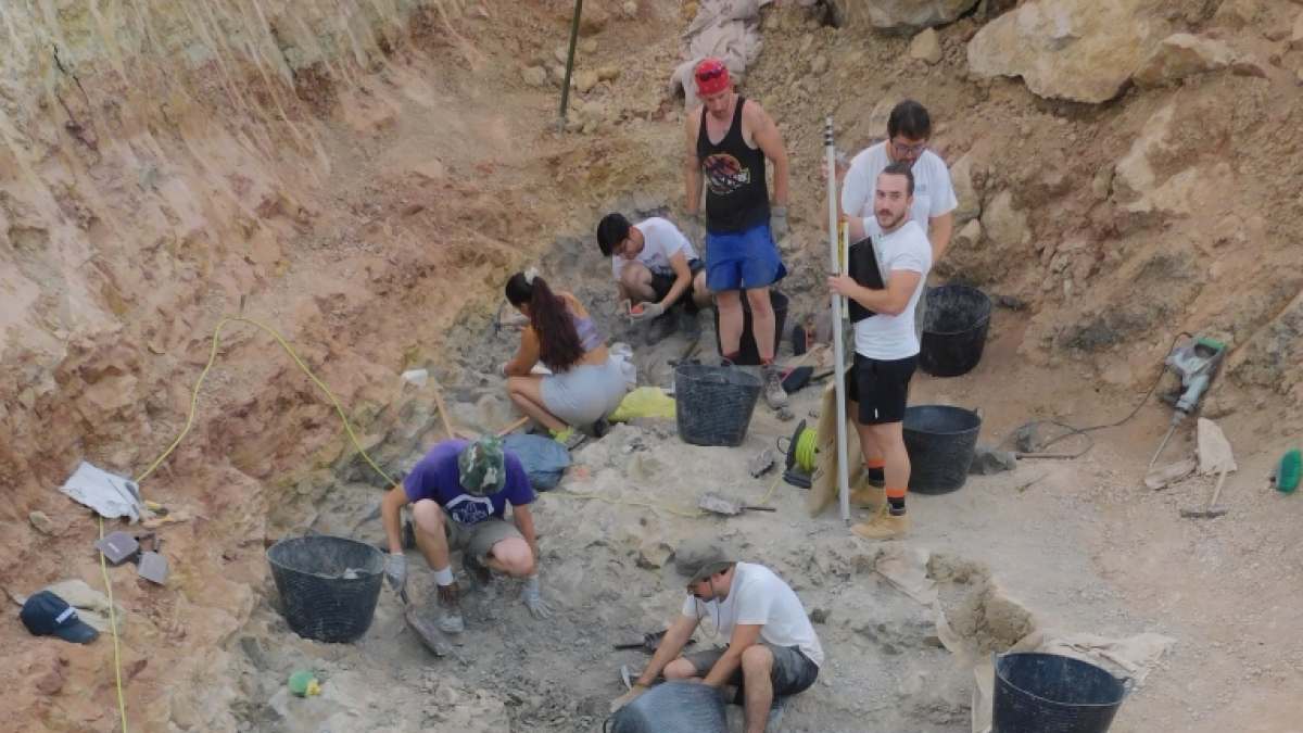 Imagen de las excavaciones en Torrelara.