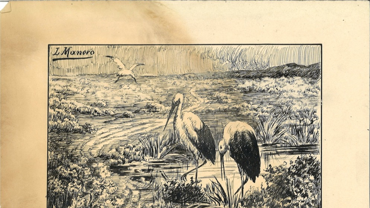 'Cigüeñas en una charca' de Luis Manero.