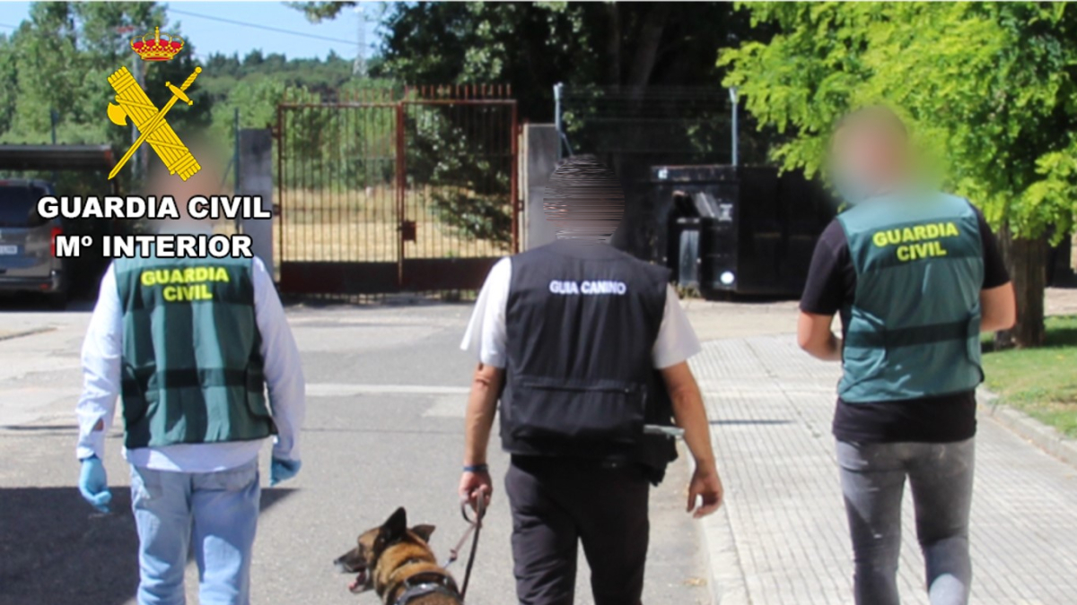 Imagen de agentes y un guía canino.