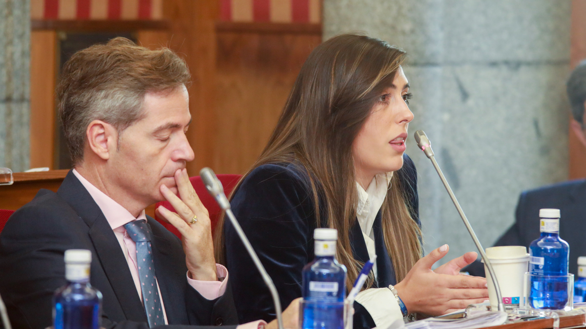 Un momento del Pleno municipal del Ayuntamiento de Burgos.