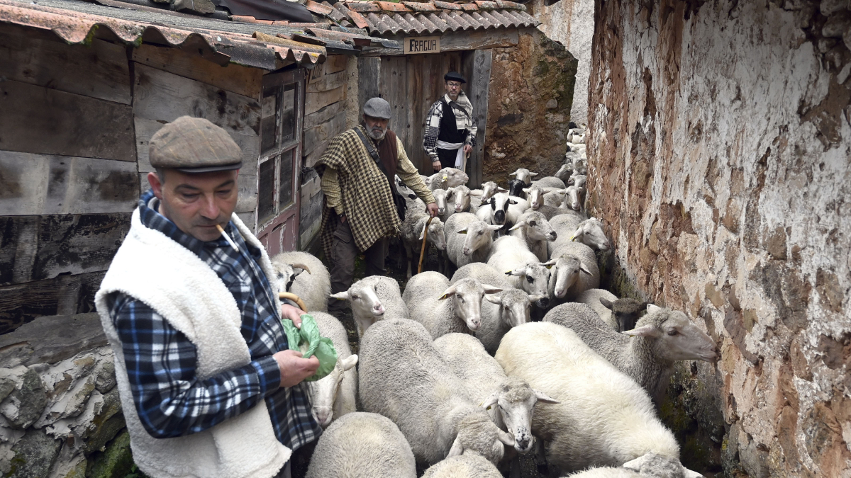 Tradicional representación de la Despedida de los pastores que se celebra en Tolbaños de Arriba