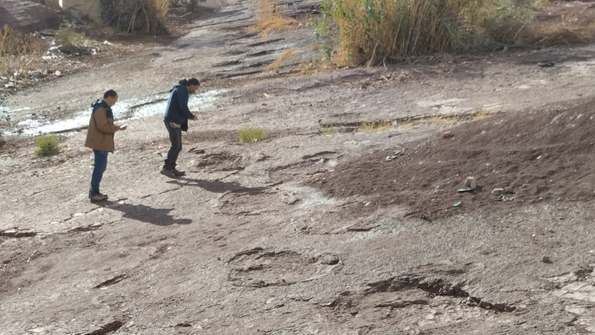 Trabajos de análisis del rastro único de Breviparopus en la localidad de Taghbalout.