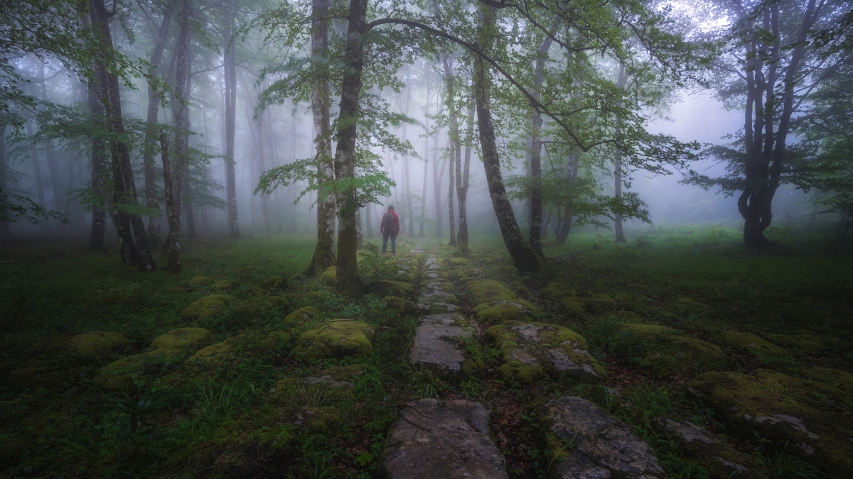 Extraordinario lapiaz en hayedo de Monte Santiago