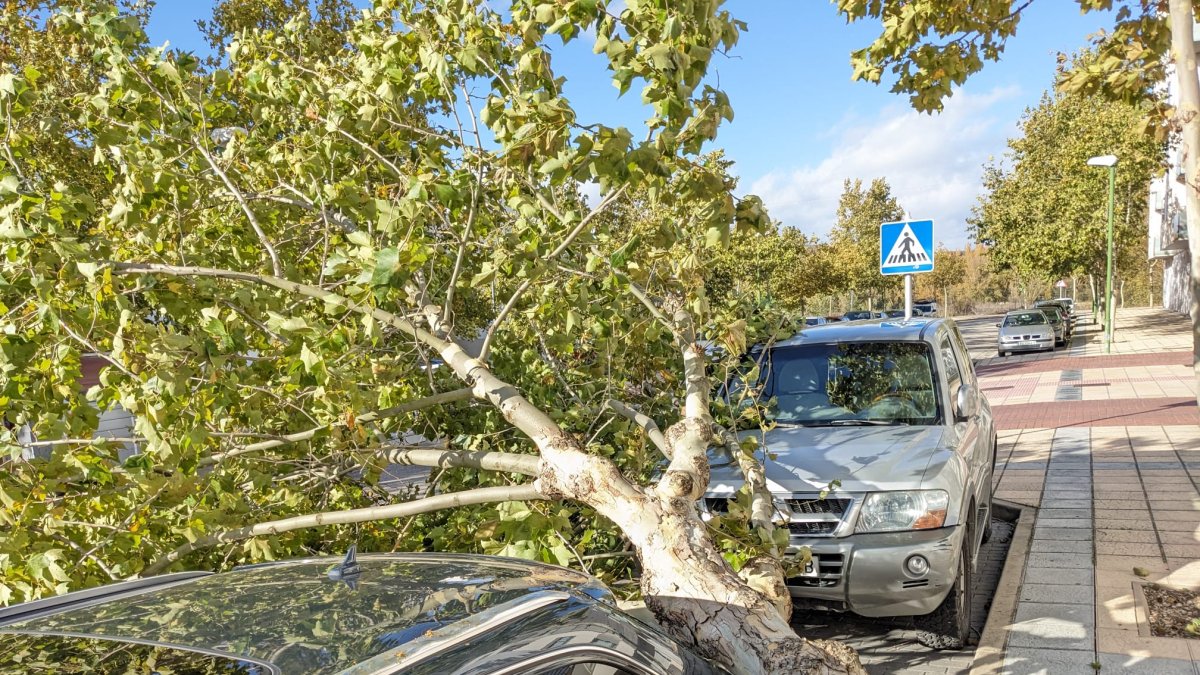 Efectos de la borrasca 'Domingos', en Burgos, el año pasado.