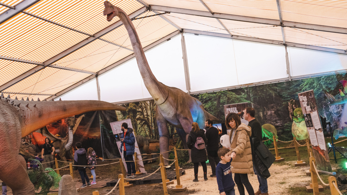 En la muestra un braquiosaurio de 10 metros de alto.