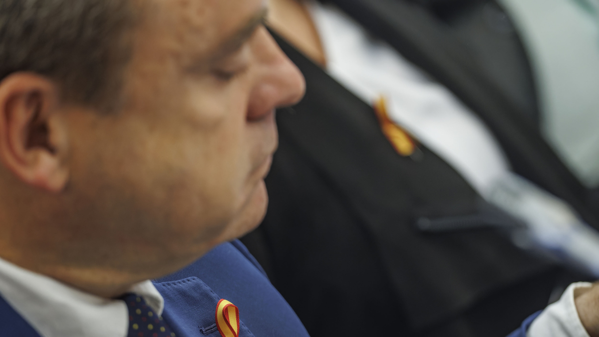 Detalle del lazo con la bandera de España que lucieron los ediles de PP y Vox en el Pleno municipal.
