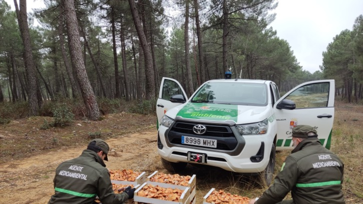 Agentes medioambientales con los níscalos decomisados.
