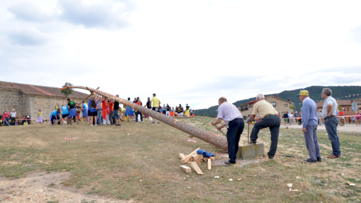 Pingada del Mayo en Canicosa de la Sierra.