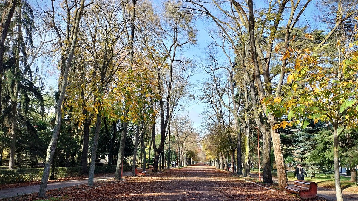 La Plataforma reclama la declaración del Parque de la Isla como Bien de Interés Cultural.