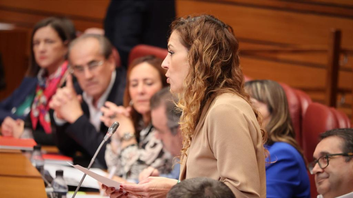 La procuradora socialista Virginia Jiménez durante un pleno de las Cortes.