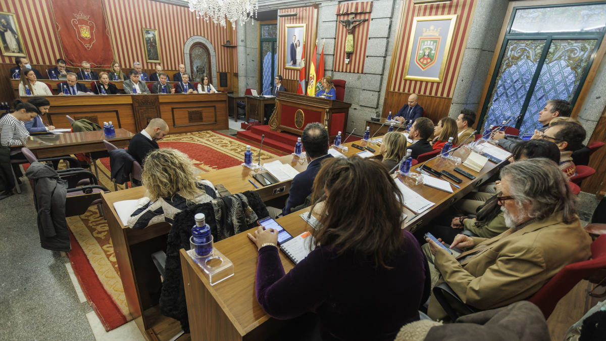 Instante del Pleno extraordinario de diciembre.
