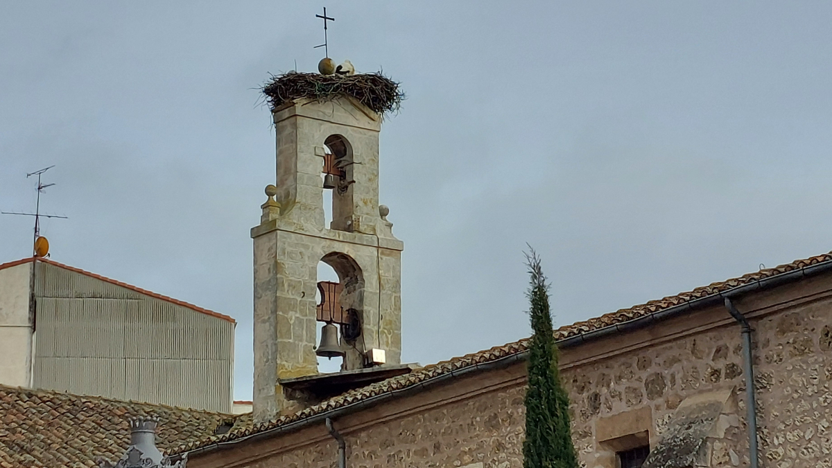 La cigüeña posada en su nido sobre la espadaña del monasterio de Santa Clara de Burgos el lunes 8 de enero