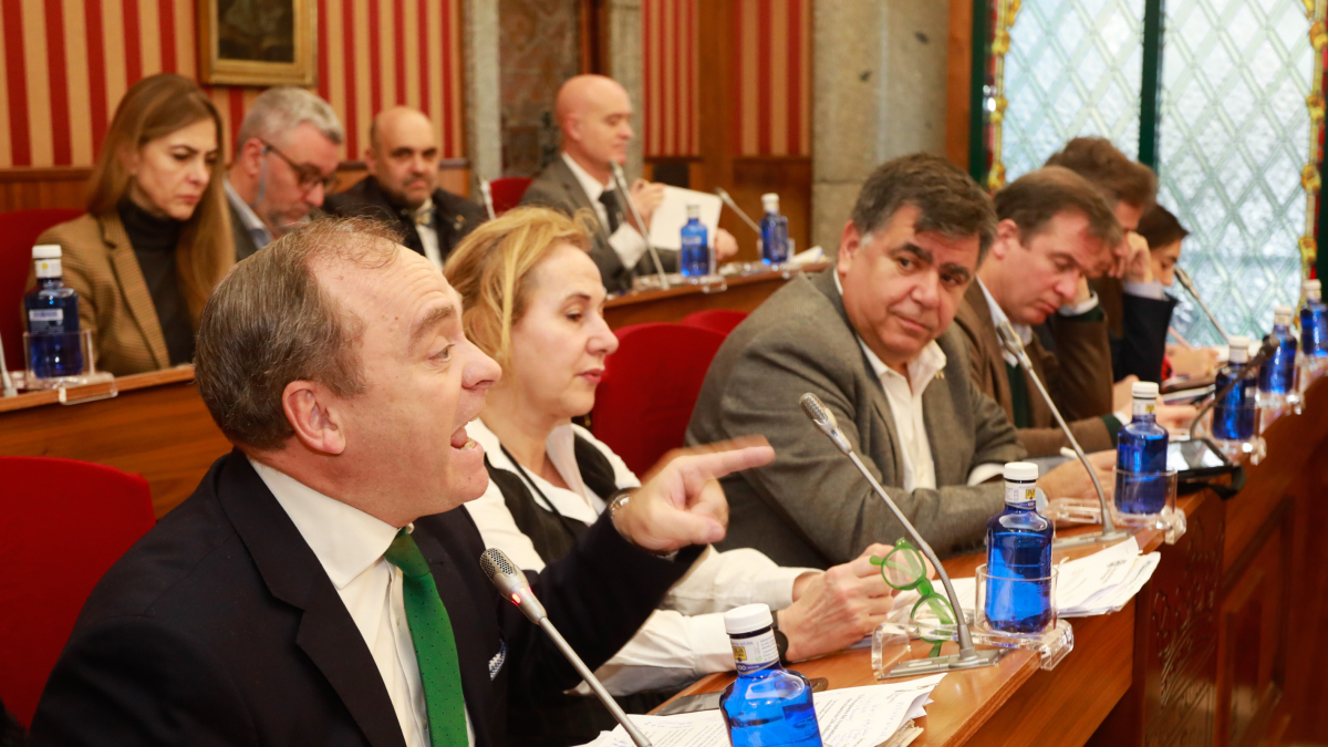 Fernando Martínez- Acitores en una intervención del Pleno de enero.