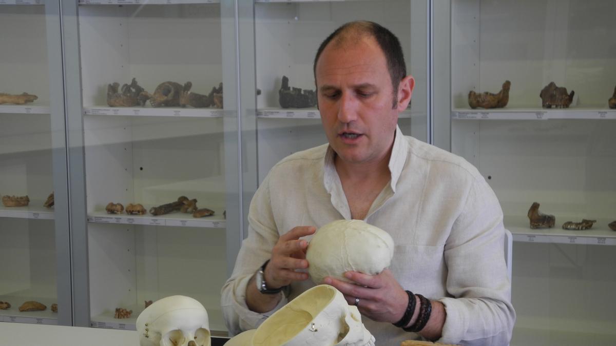Bruner propone utilizar en arqueología cognitiva el modelo de subsistemas de John Teasdale.