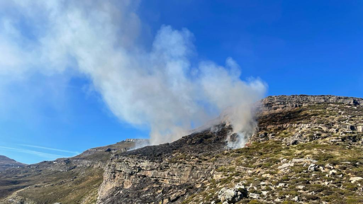 Incendio declarado el jueves 1 de febrero en Estacas de Trueba.