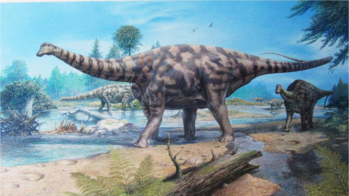 Ilustración científica de como podía ser Demandasaurus darwini, el primer gigante descrito en la sierra de la Demanda con 600 fósiles de su esqueleto.