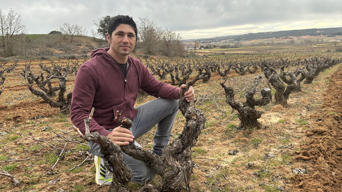 Daniel Maestre, junto a uno de sus viñedos.