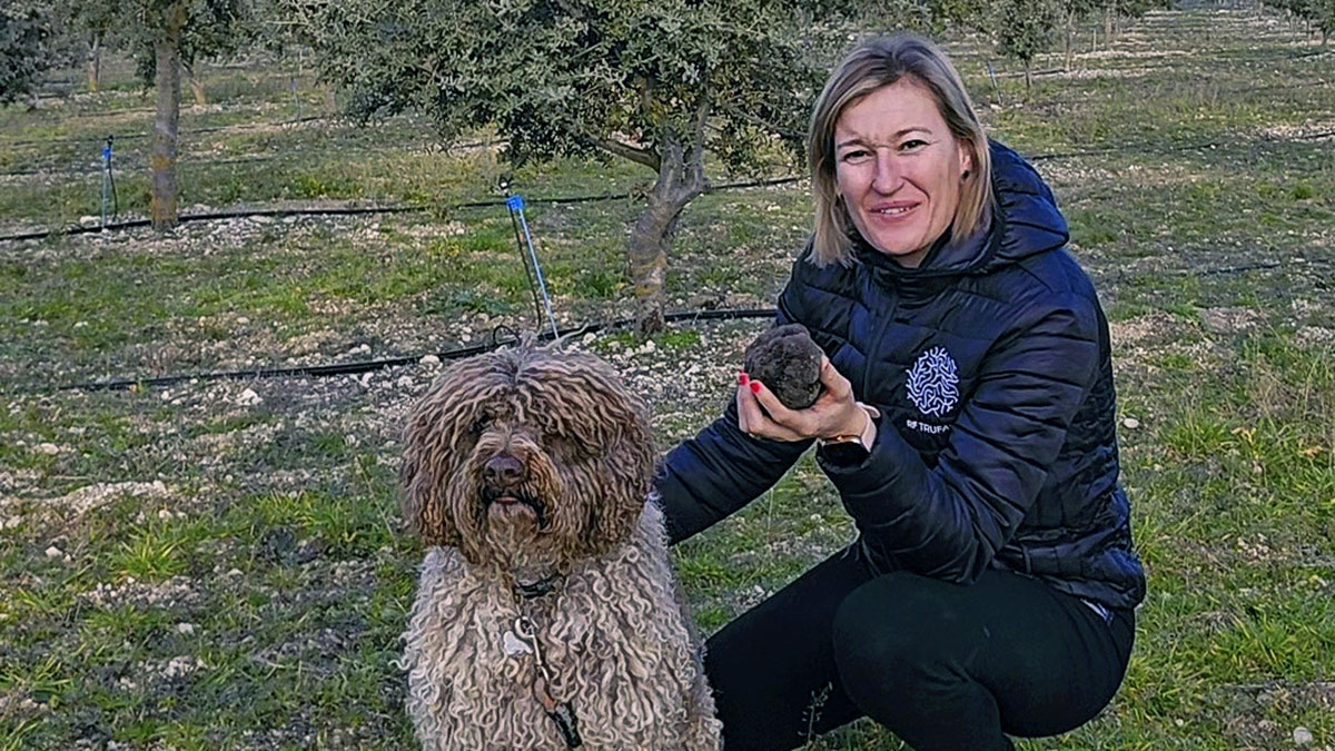 Raquel de Dios tiene 2,5 hectáreas de encinas ecológicas micorrizas en la Ribera del Duero.