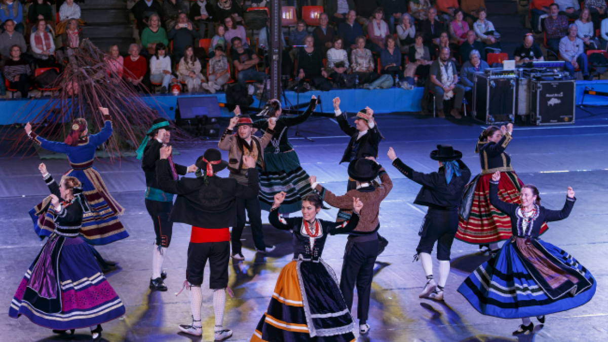 Festival de las Marzas del pasado año.