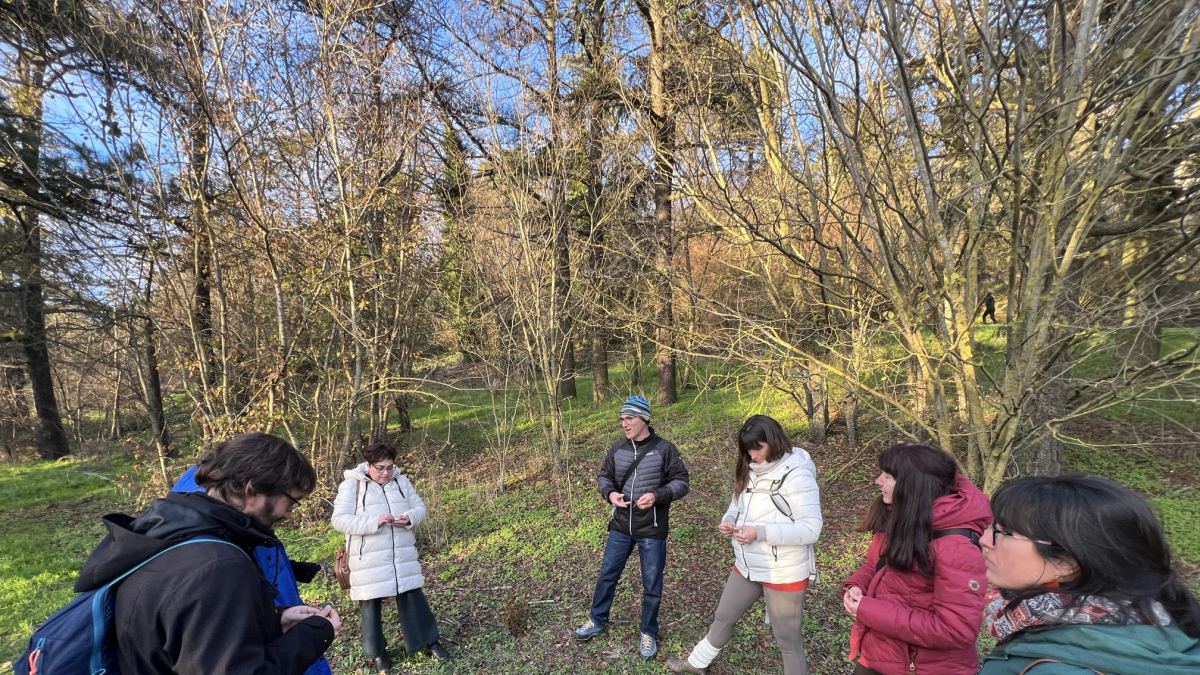 Varias personas disfrutan de un baño de bosque de la mano de la agrupación regional creada para acompañar estas experiencias.
