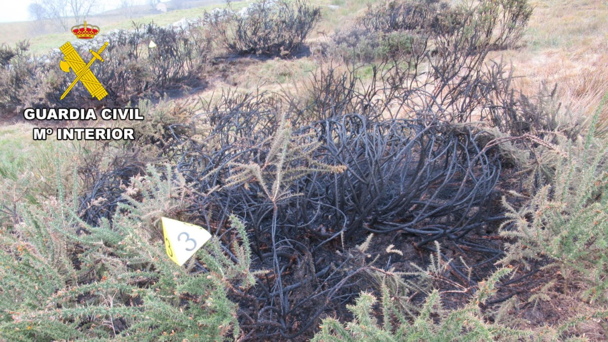 La investigación ha determinado 34 puntos de inicio del fuego.