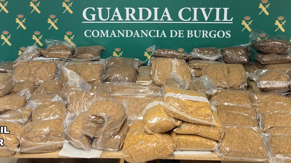 Picadura de tabaco incautada por la Guardia Civil de Burgos.