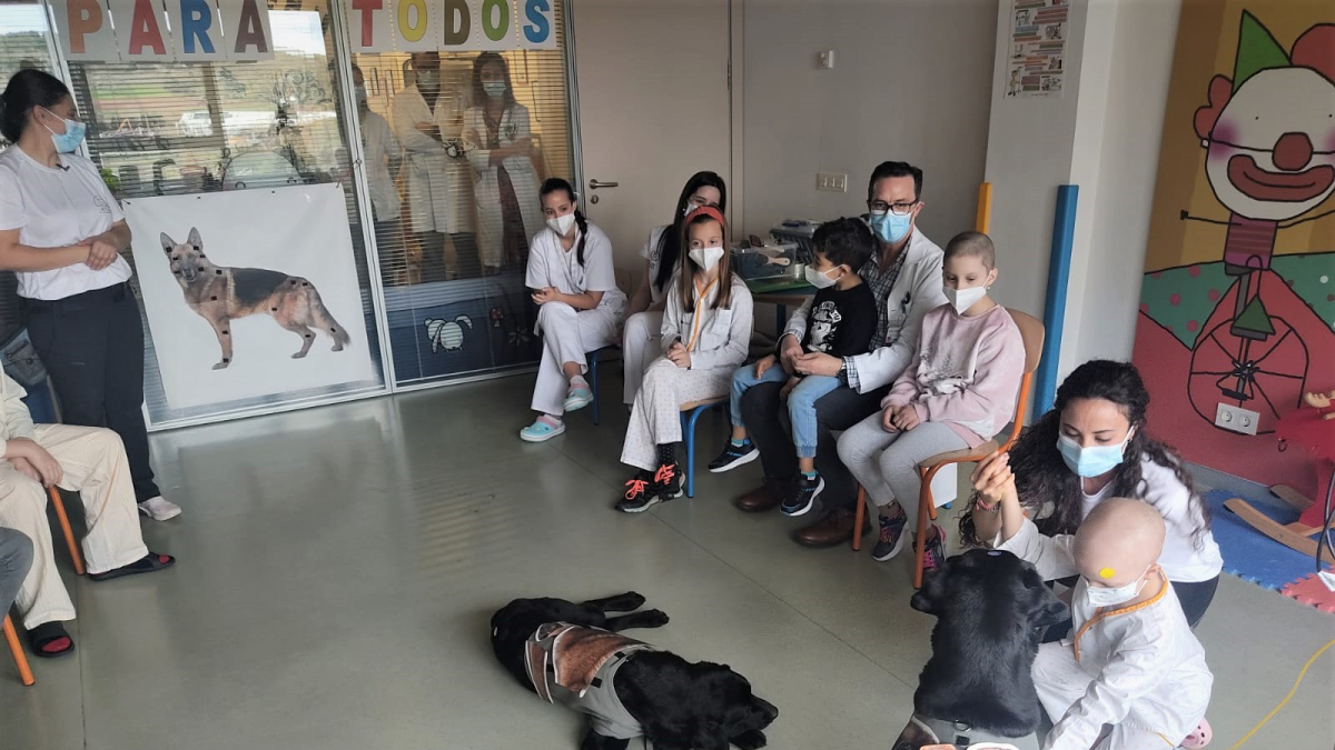 Primera sesión de terapia asistida con perros en el Servicio de Pediatría del HUBU.