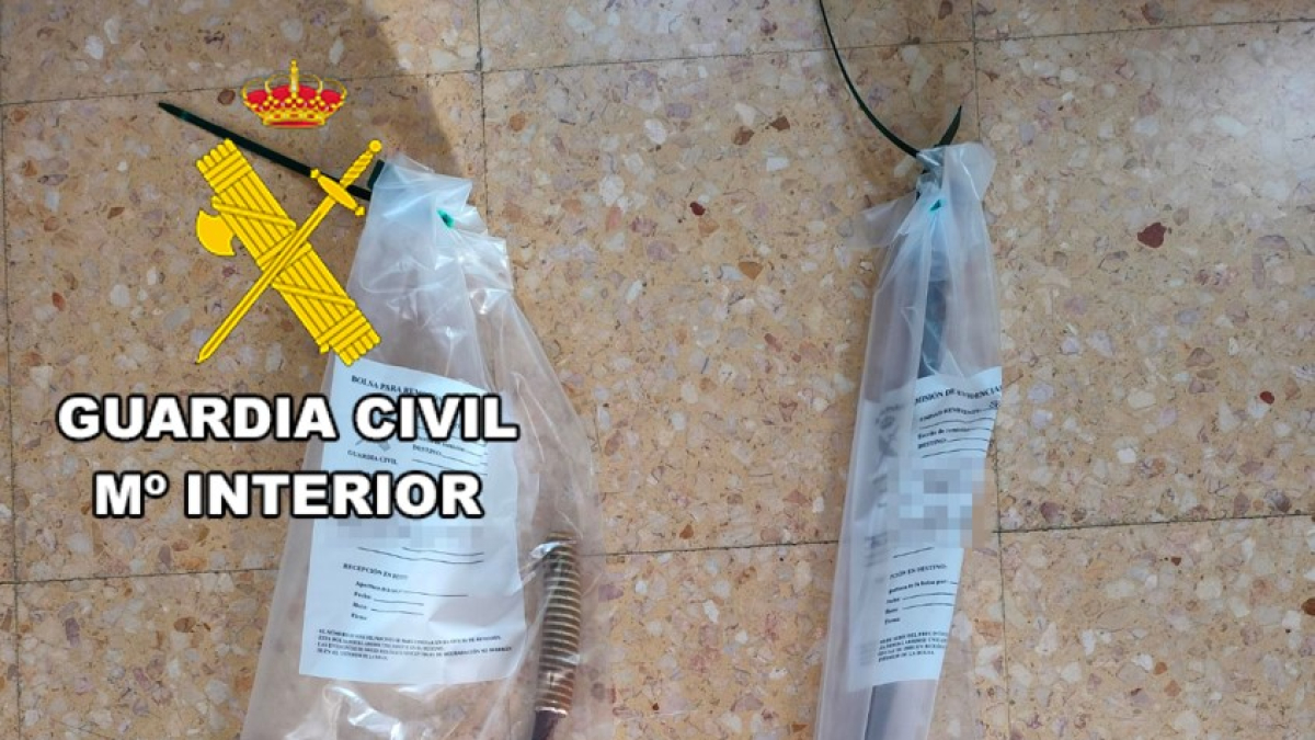 Los bastones que fueron intervenidos por el Seprona