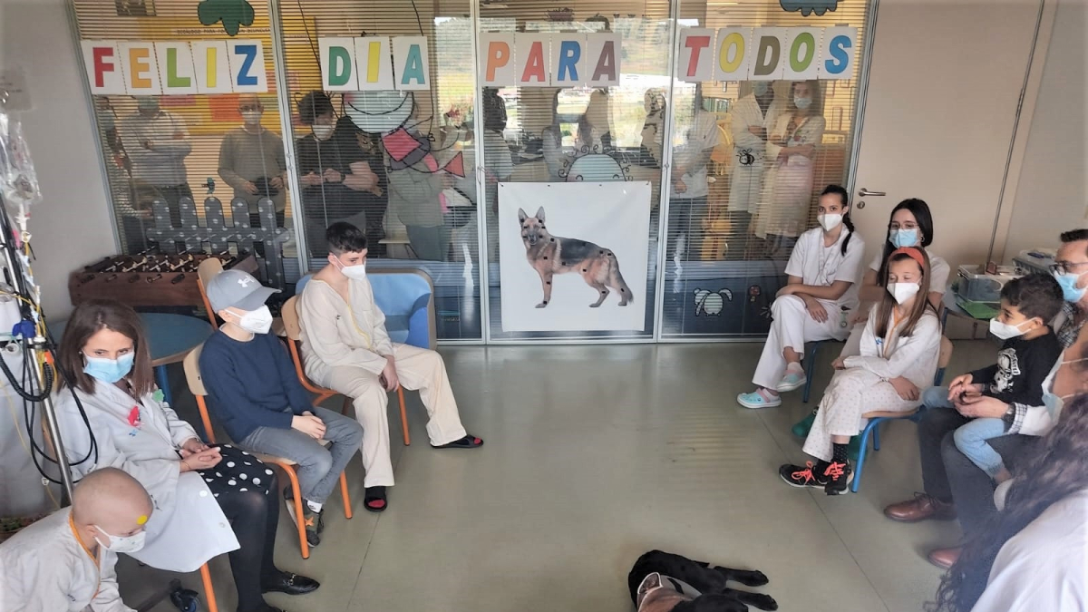 Los perros junto con algunos de los niños ingresados en la 4ª planta.