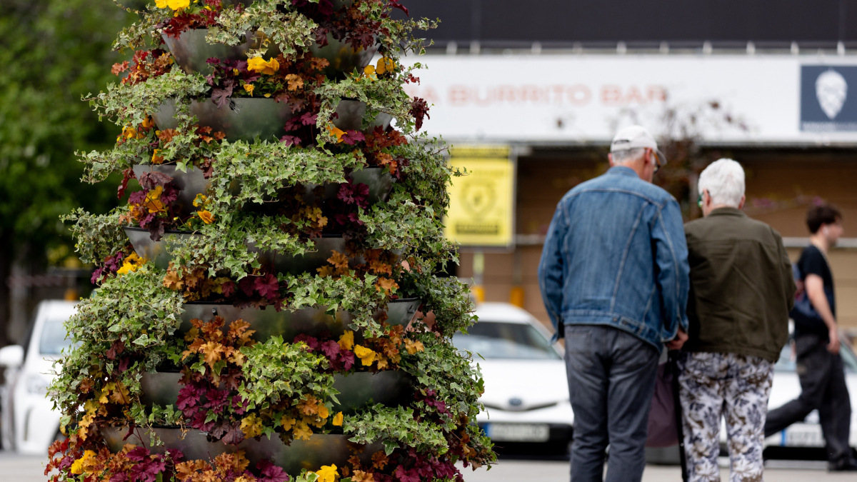 Dos personas junto a un árbol en flor durante el primer día de primavera, a 20 de marzo de 2024, en Madrid (España).