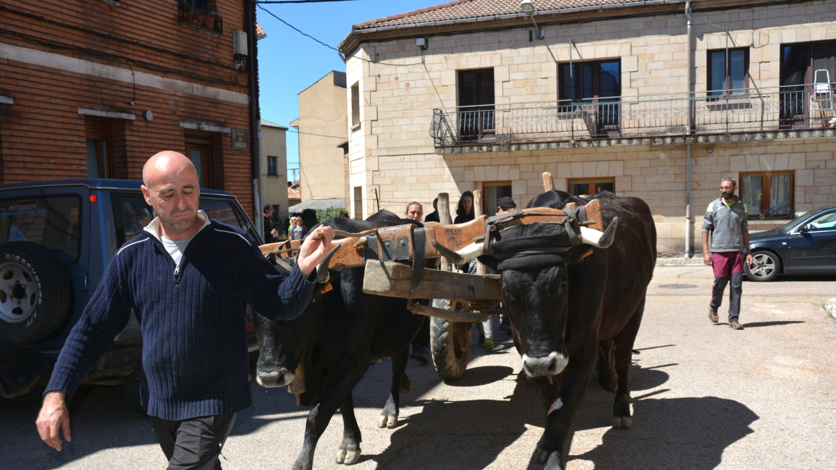 Inicio de la ruta carreteril en Quintanar de la Sierra.