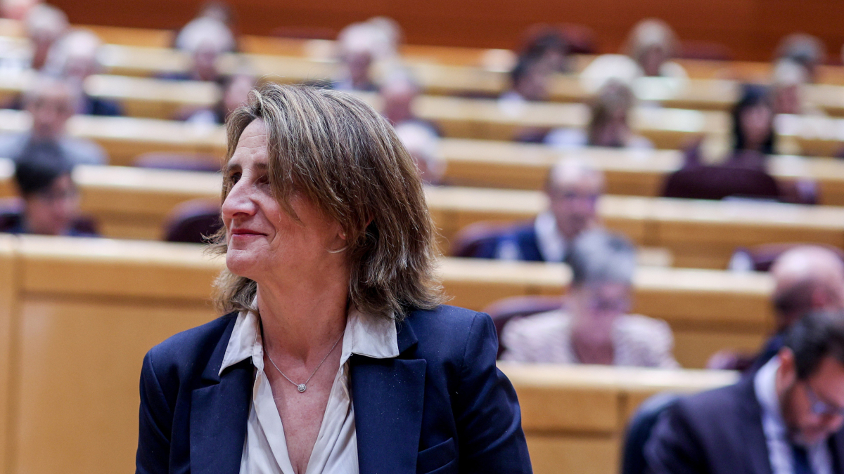 La vicepresidenta tercera y ministra para la Transición Ecológica y el Reto Demográfico, Teresa Ribera, durante una sesión de control al Gobierno, en el Senado, a 9 de abril de 2024, en Madrid (España).