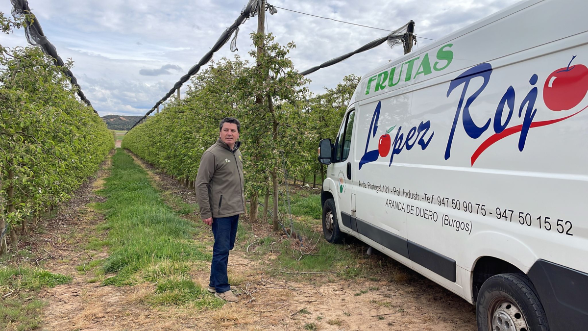 Fermín López Rojo posa en su finca de manzanos