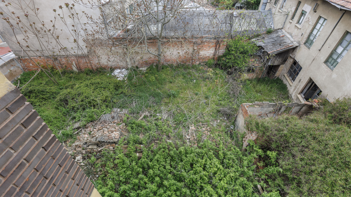 Estas son las vistas a la ‘jungla’ que tienen los residentes en el número 25-27 de San Isidro. Escombros, residuos tóxicos (uralita), un gato muerto...