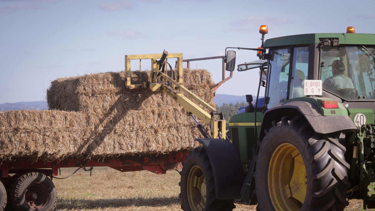 Archivo - Un tractor durante la recogida de trigo