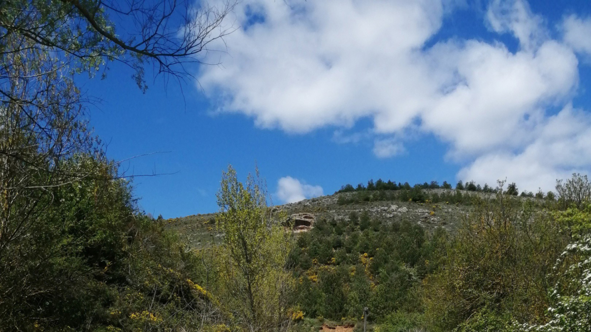 Sendero en Las Loras.
